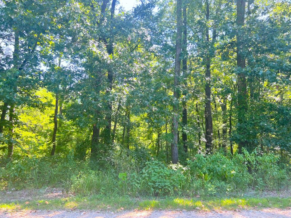 310 White Fox Lane Property Photo 13