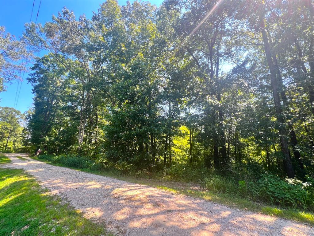 310 White Fox Lane Property Photo 14