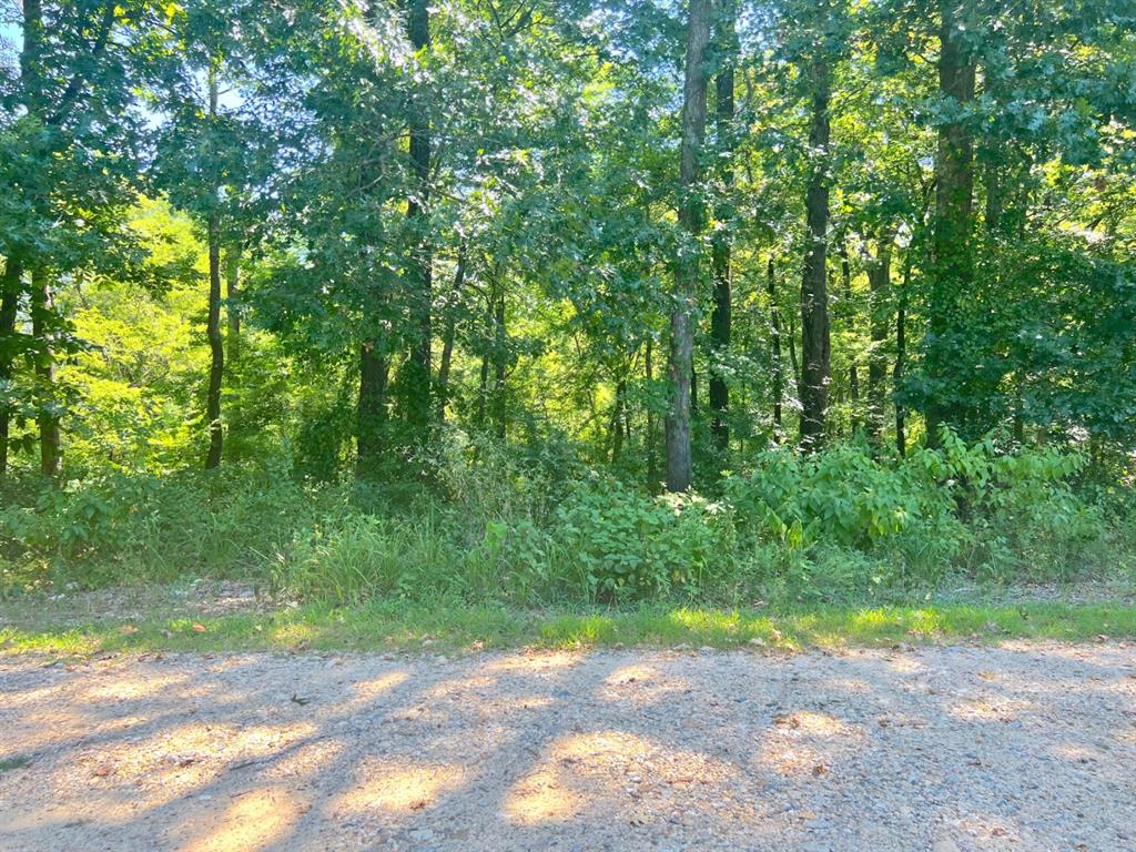310 White Fox Lane Property Photo 16