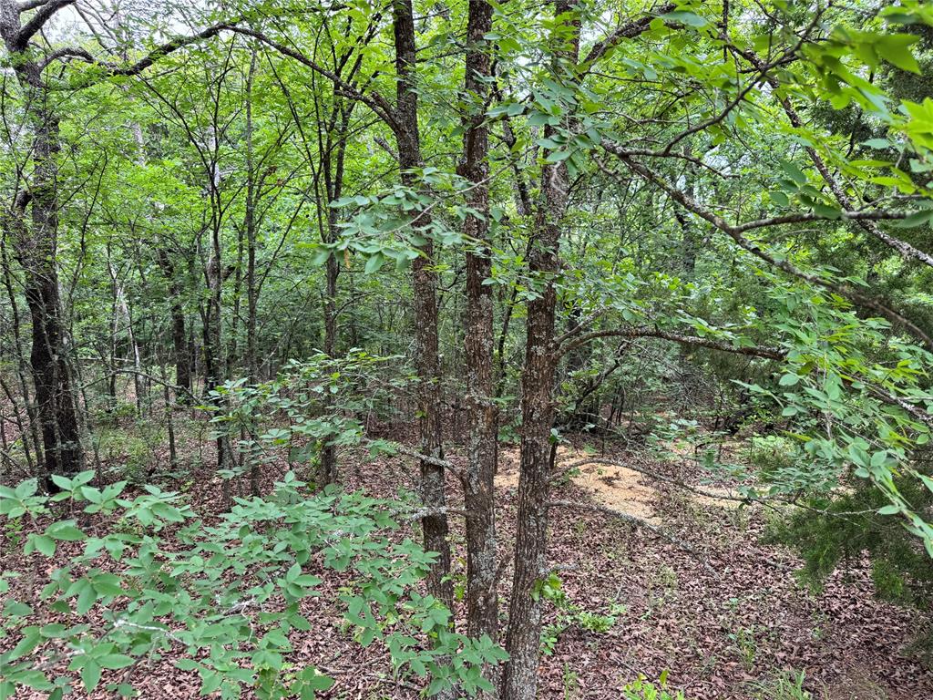 365 Road Property Photo 2