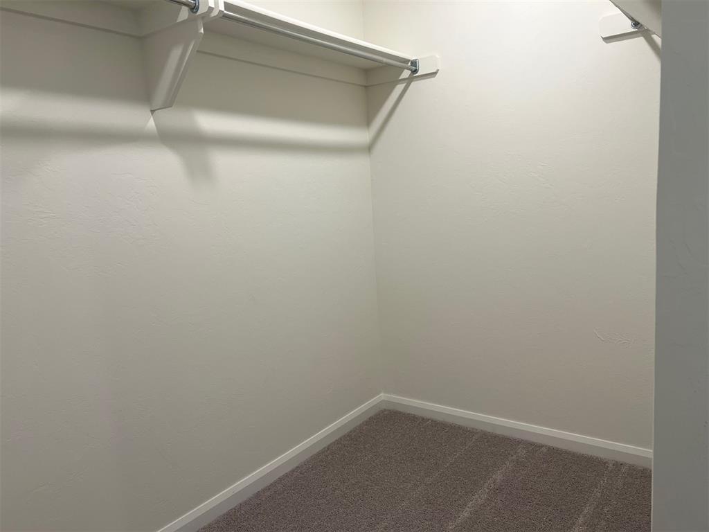 921 Hazy Brook Circle Property Photo 10