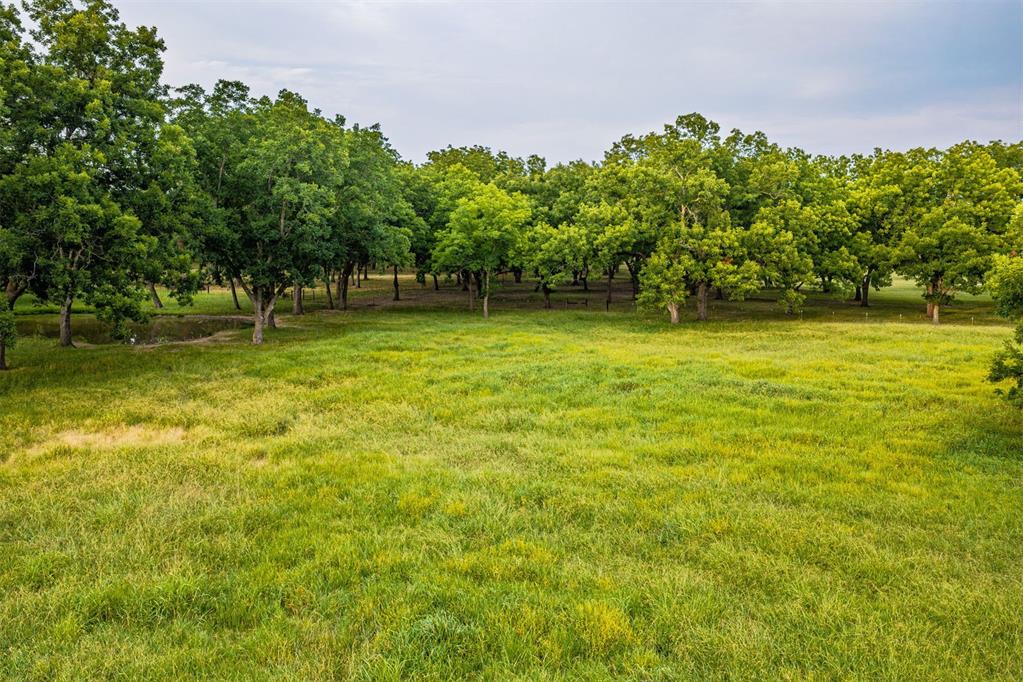 13067 S Bristlecone Road Property Photo 41