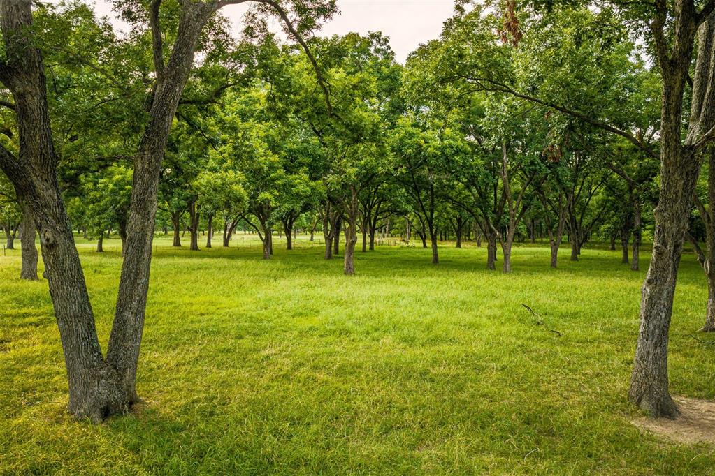 13067 S Bristlecone Road Property Photo 42
