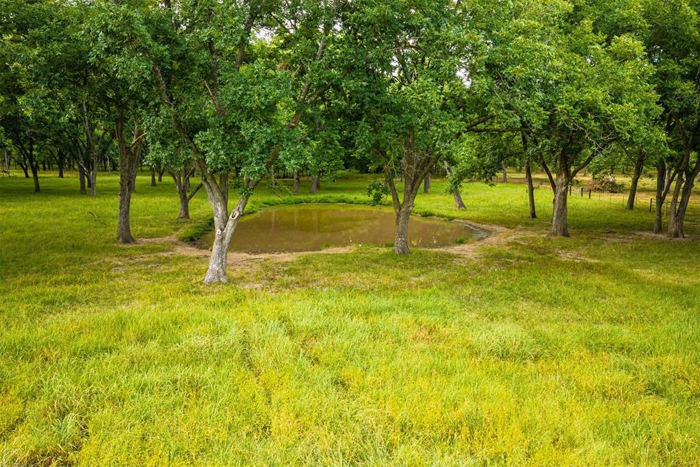 13067 S Bristlecone Road Property Photo 45