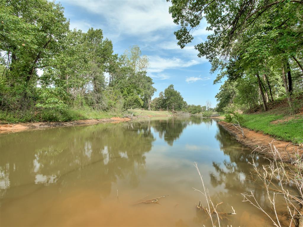 11075 Cindy Lane Property Photo 46