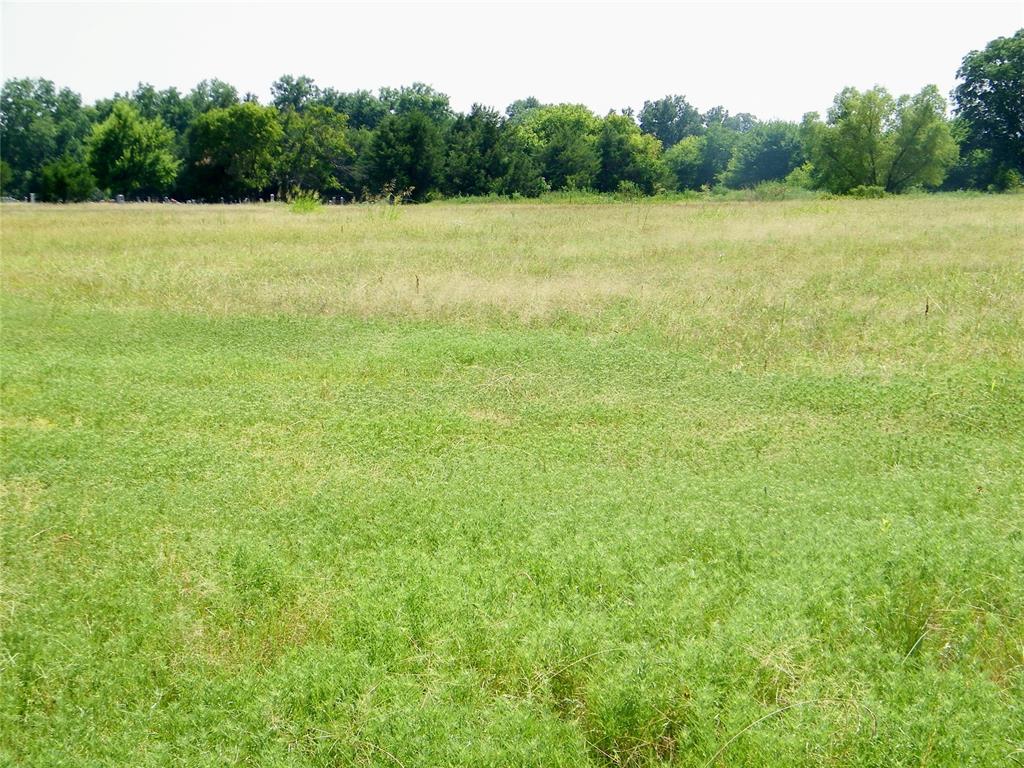 506620 E County Road 1510a / 5 Acre Lot Property Photo 7