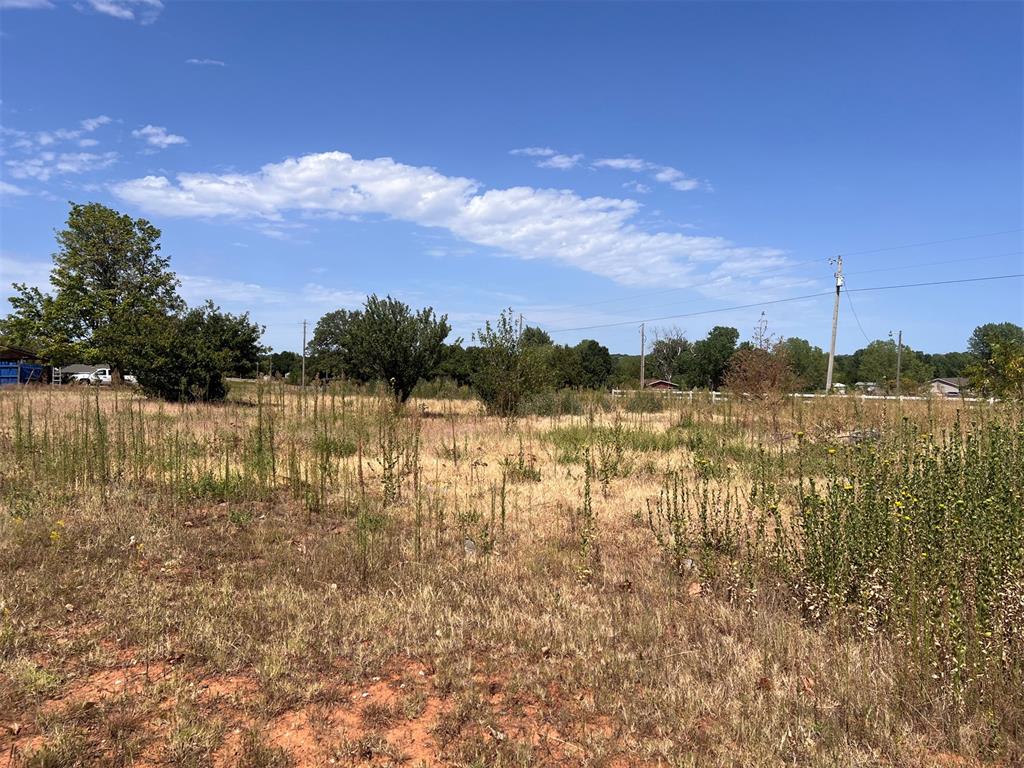 1107 Meadow View Lane Property Photo 9
