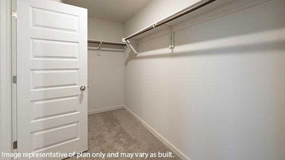 10425 Red Thistle Drive Property Photo 15