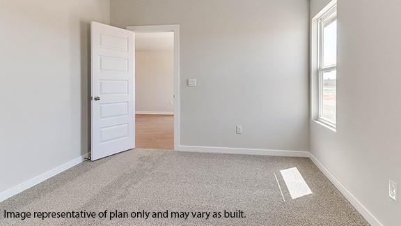 10417 Red Thistle Drive Property Photo 16