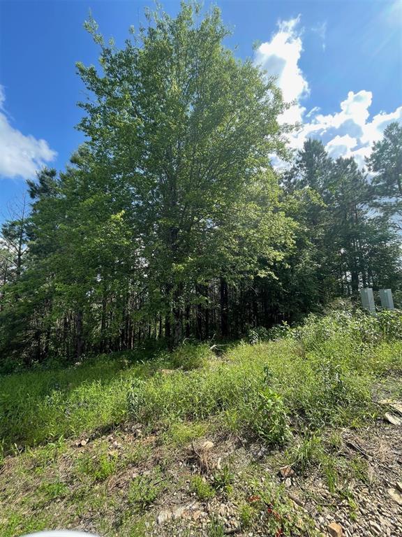 39 Alder Place Property Photo 2