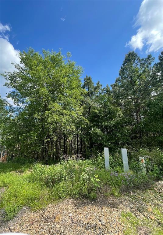 39 Alder Place Property Photo 11