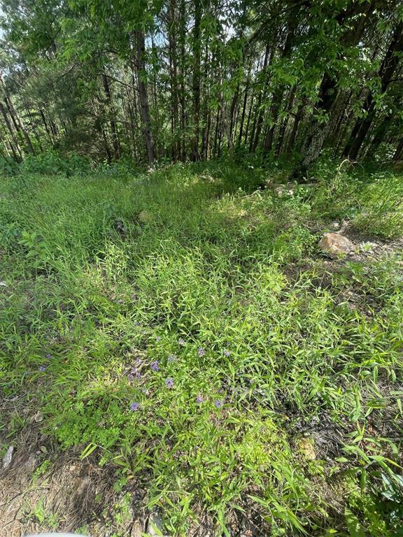 39 Alder Place Property Photo 12