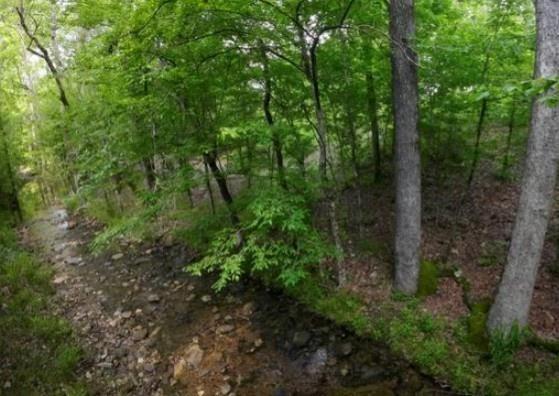 118 Hidden Pines Loop Property Photo 2