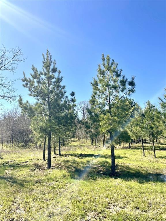 118 Hidden Pines Loop Property Photo 3
