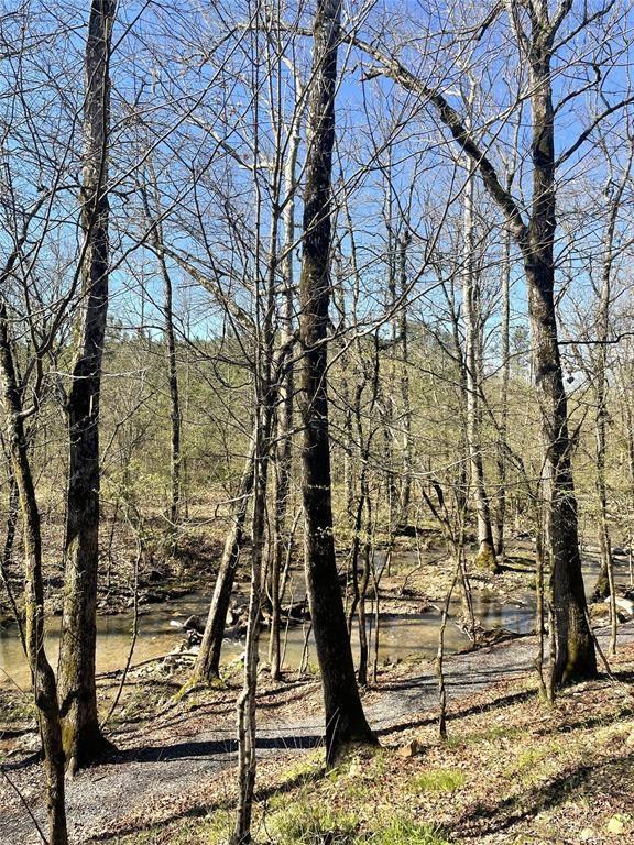 118 Hidden Pines Loop Property Photo 6