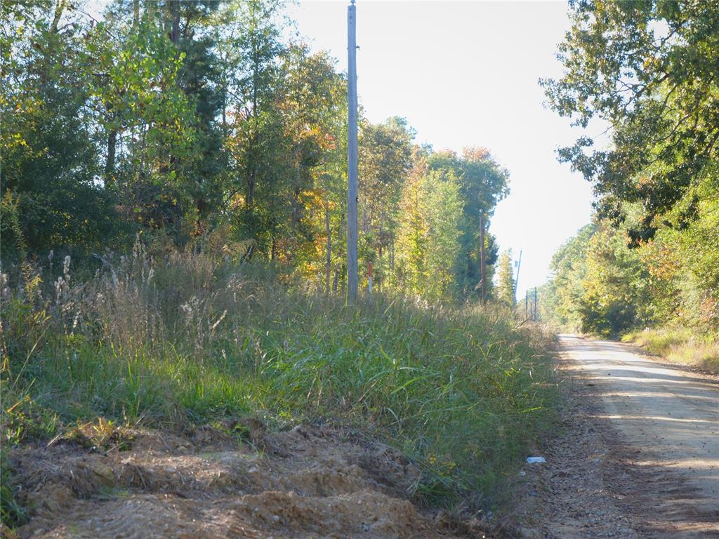 0 Butler Road Property Photo 3