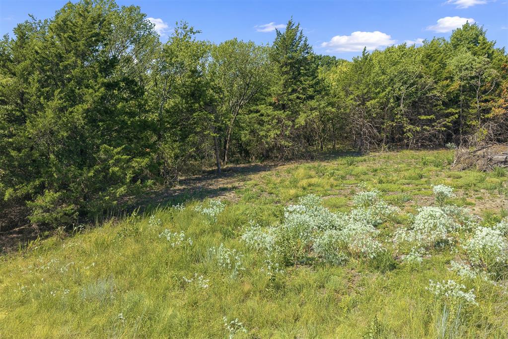 16723 County Road 3540 Road Property Photo 3