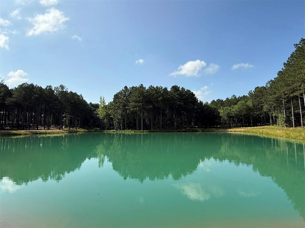 00 Cedar Hills Lakes Property Photo 2
