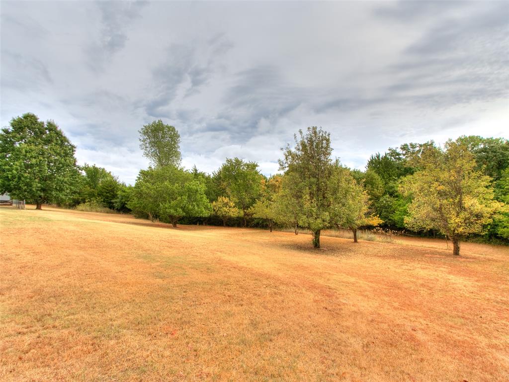 14900 Spencer Mountain Drive Property Photo 6