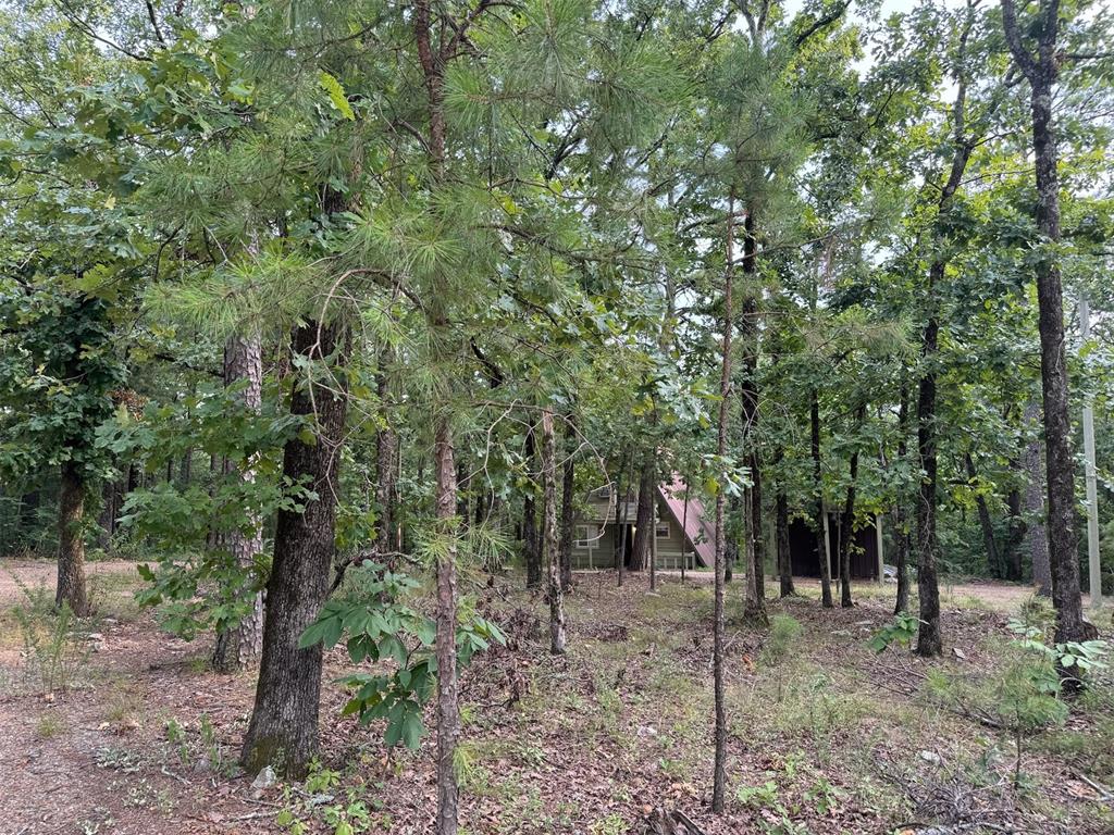 433804 E 1698 Road Property Photo 5
