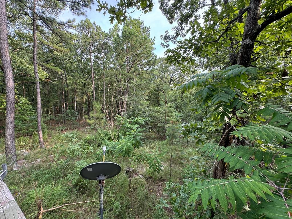 433804 E 1698 Road Property Photo 16