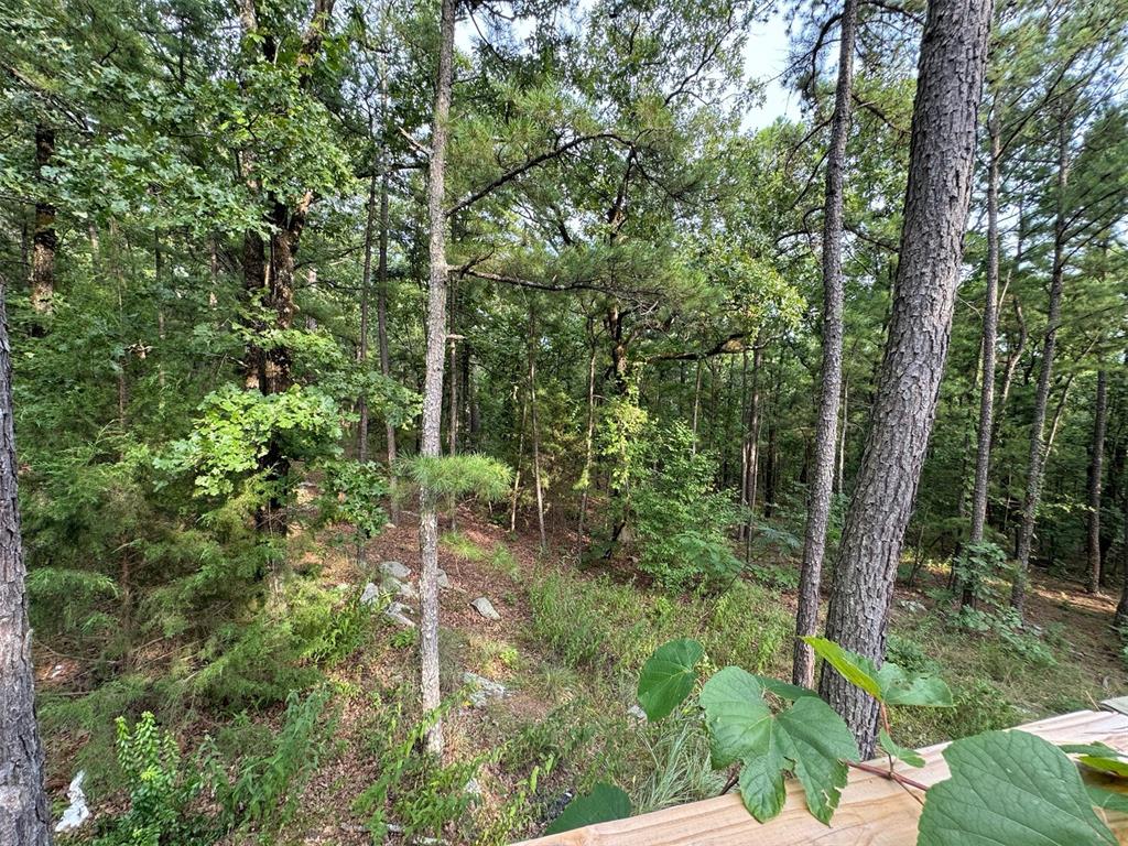 433804 E 1698 Road Property Photo 18