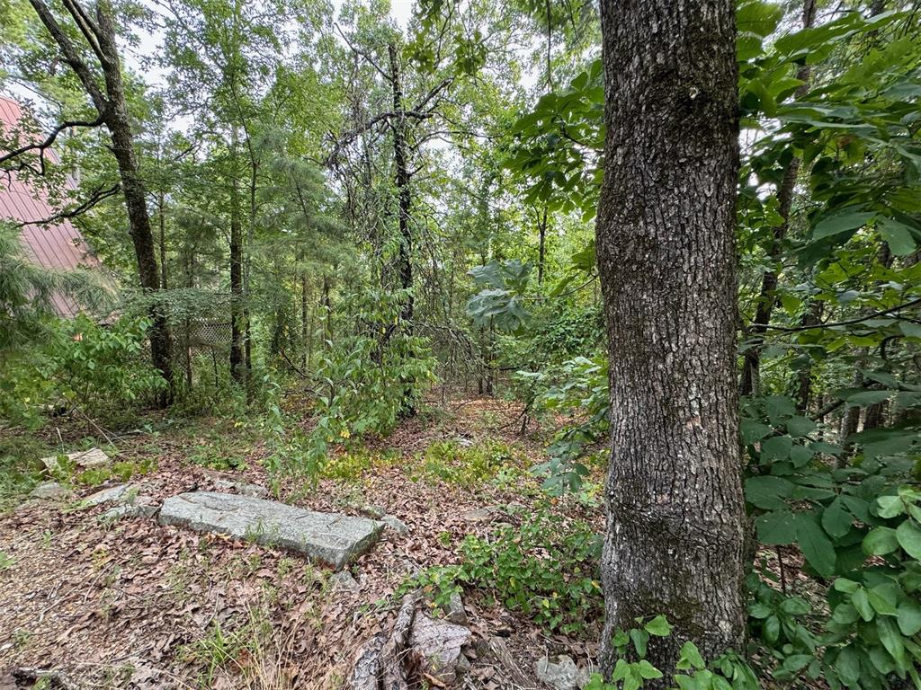 433804 E 1698 Road Property Photo 21