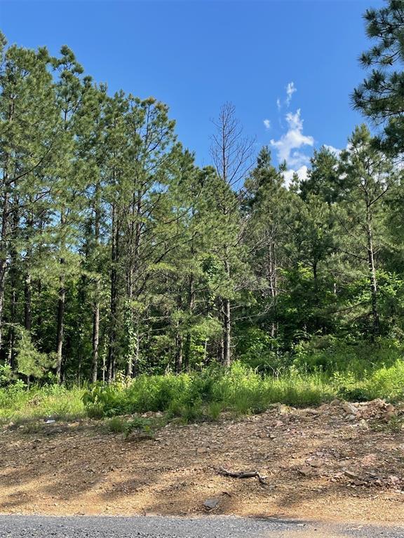 164 Timberline Trail Property Photo 2
