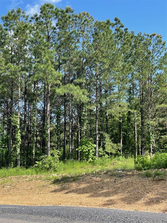 164 Timberline Trail Property Photo 5