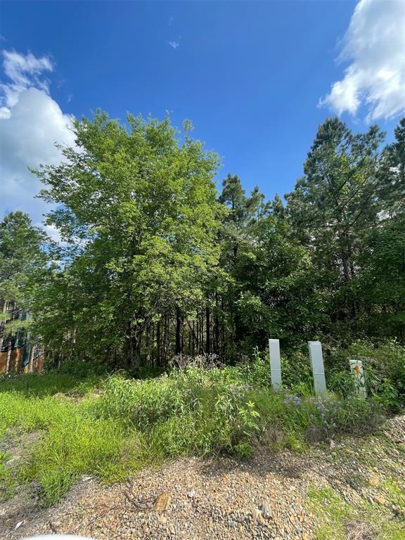 164 Timberline Trail Property Photo 6
