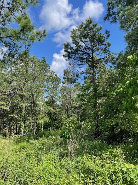 164 Timberline Trail Property Photo 7