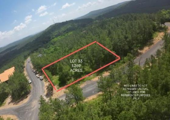 164 Timberline Trail Property Photo 11