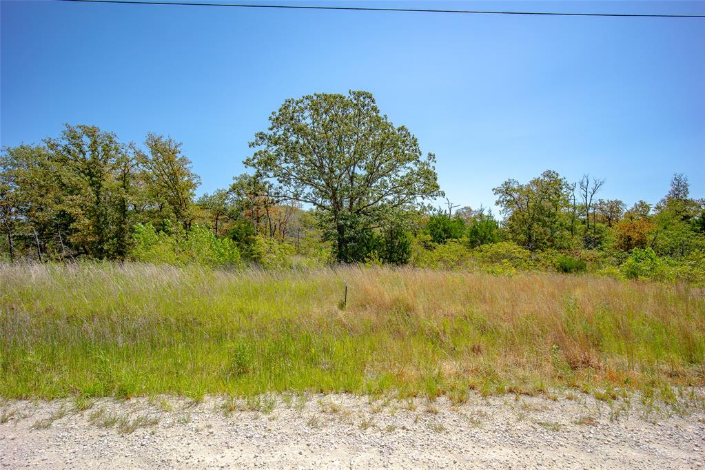 16625 Magwood Street Property Photo 3
