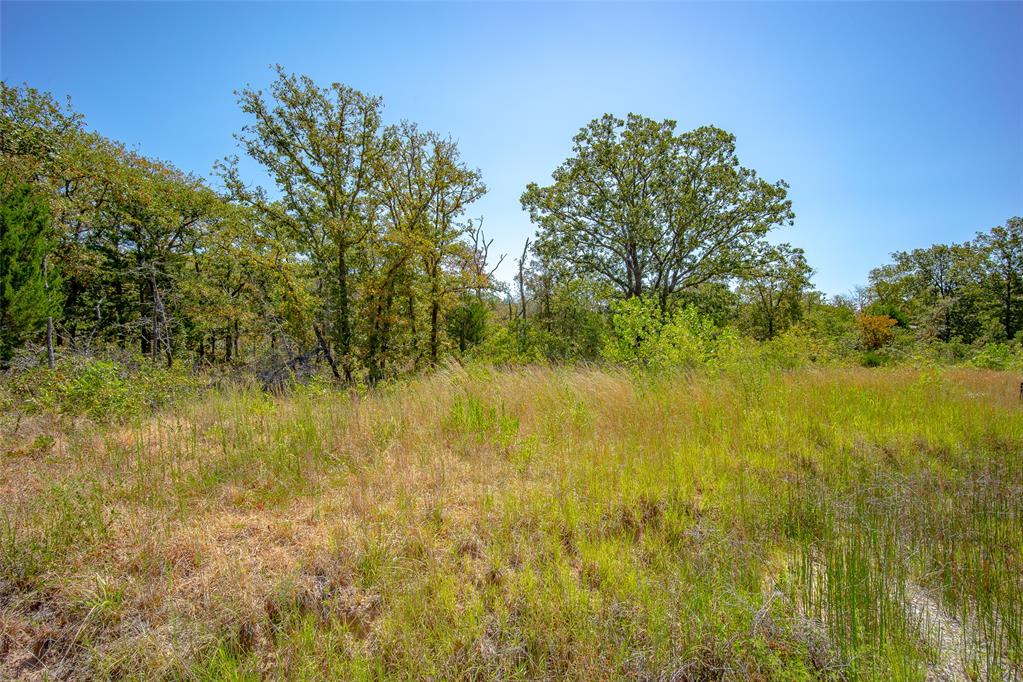 16625 Magwood Street Property Photo 6