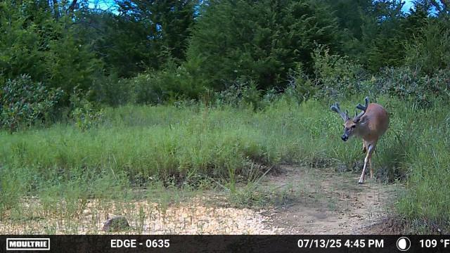 0001 S 310 Road Property Photo 29