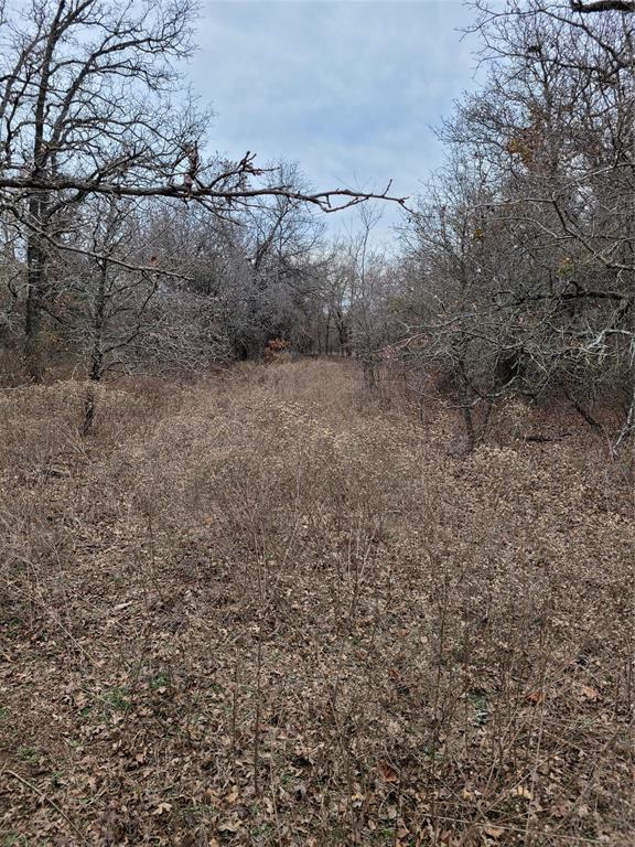 N County Road 3049 Property Photo 7