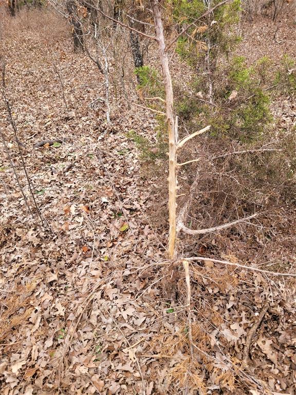N County Road 3049 Property Photo 8