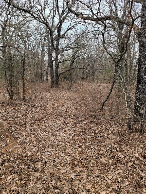 N County Road 3049 Property Photo 9