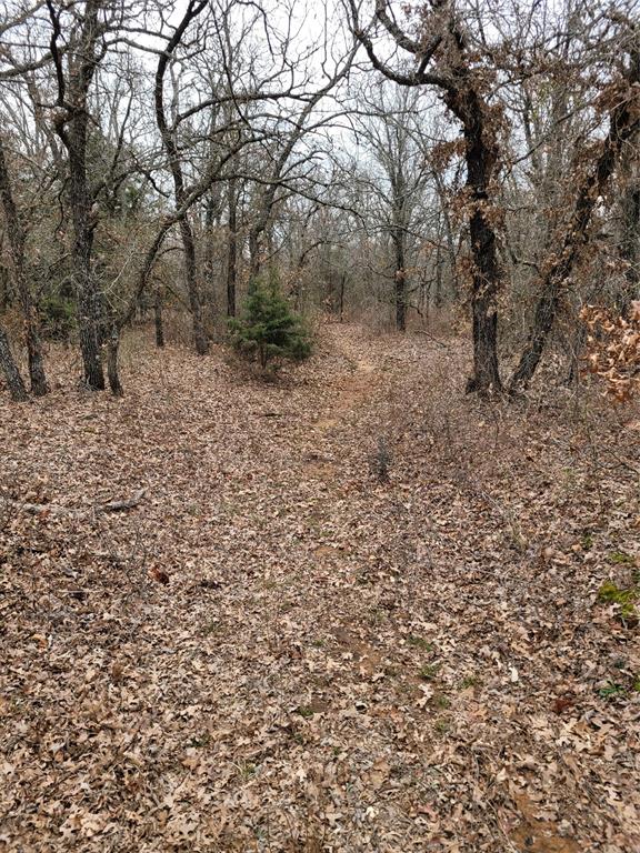 N County Road 3049 Property Photo 10