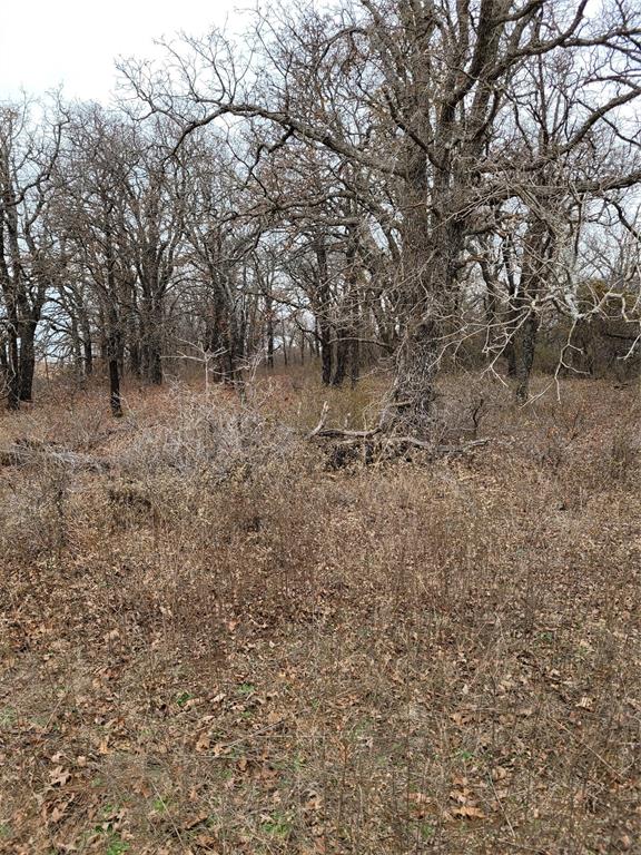 N County Road 3049 Property Photo 12