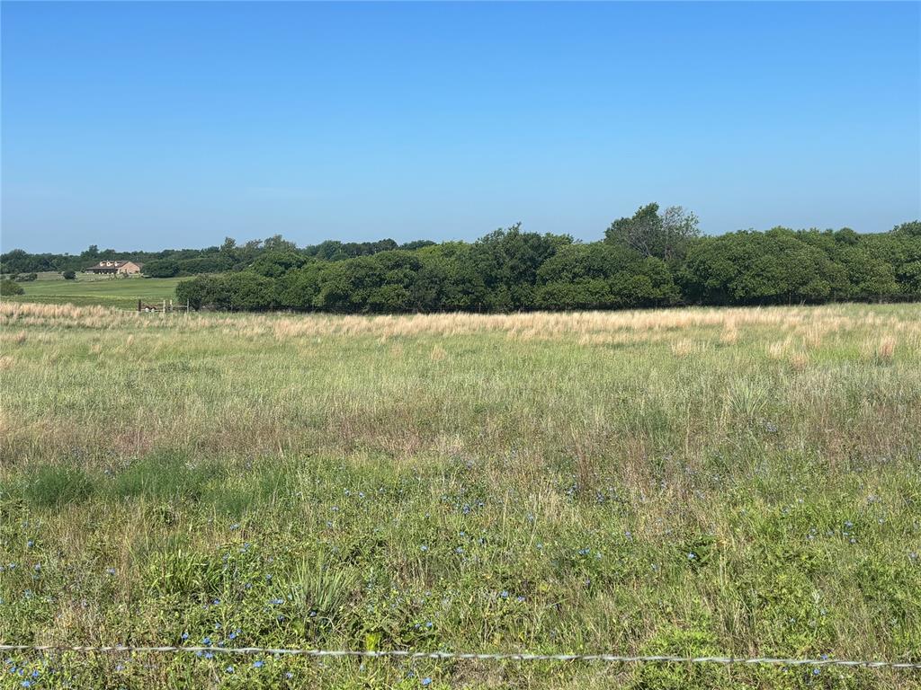 1245686 Property Photo 3