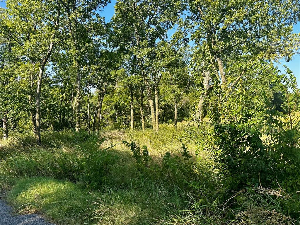 Monica Lane Property Photo 10