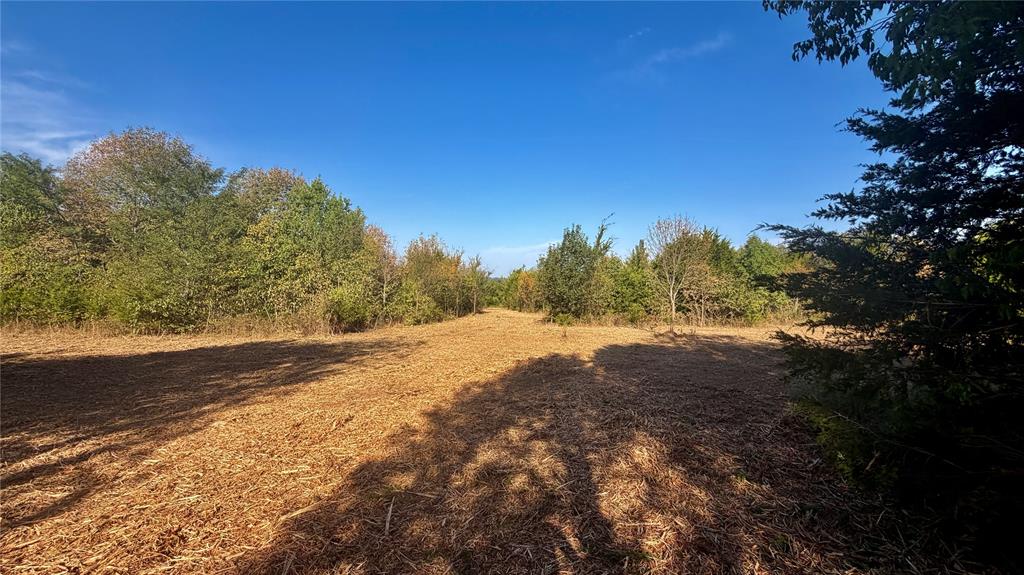 6 N 3480 Road Property Photo 14