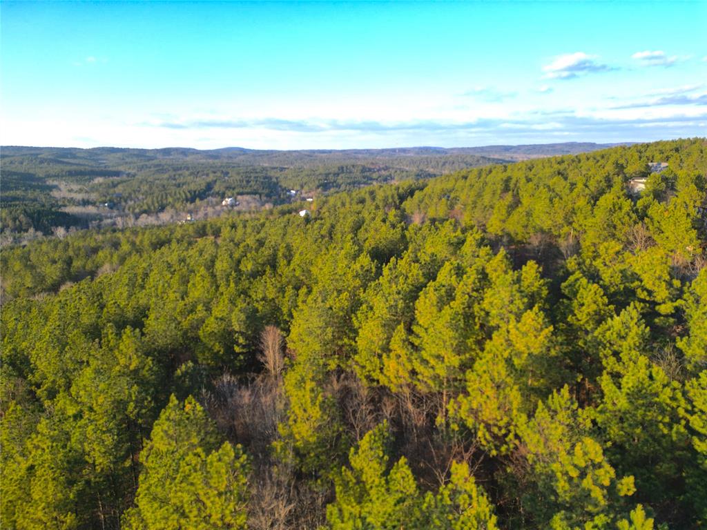 484 Lukfata Fork Trail Property Photo 1