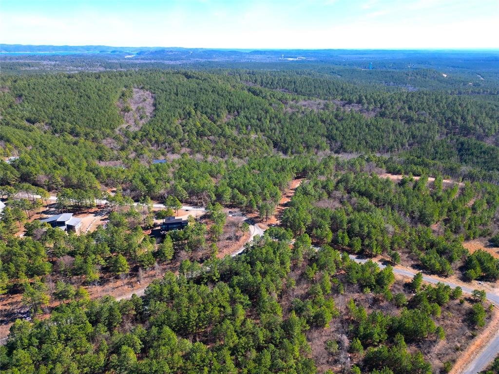 484 Lukfata Fork Trail Property Photo 2