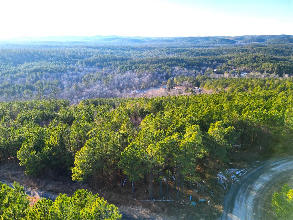 484 Lukfata Fork Trail Property Photo 3