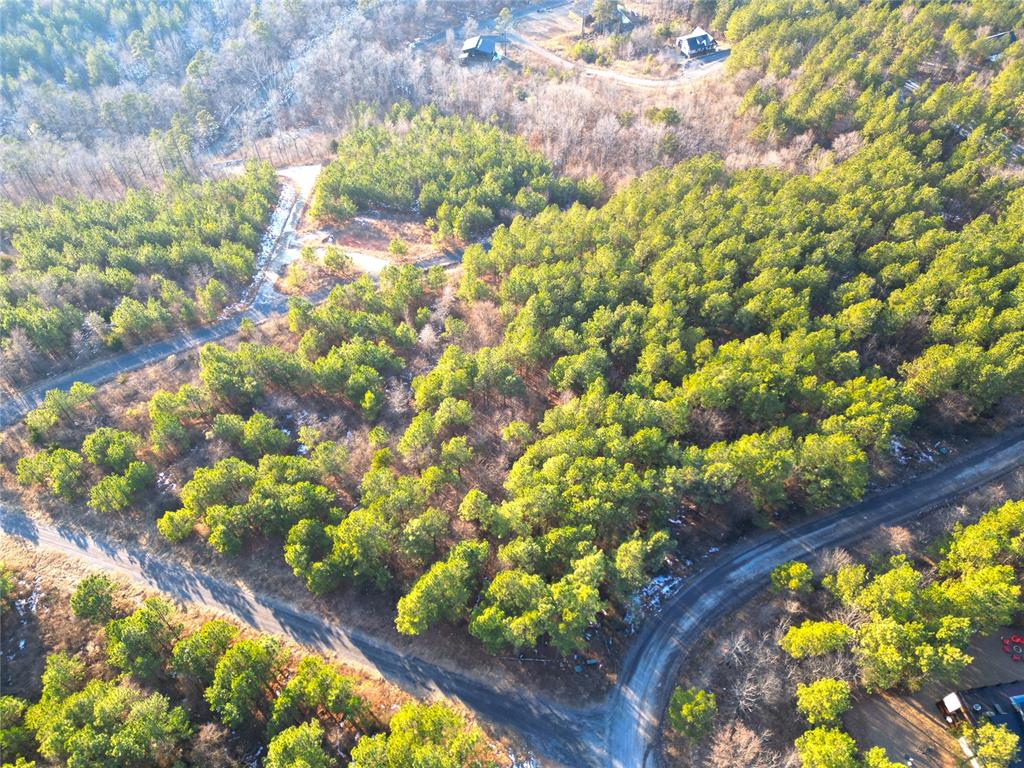 484 Lukfata Fork Trail Property Photo 4
