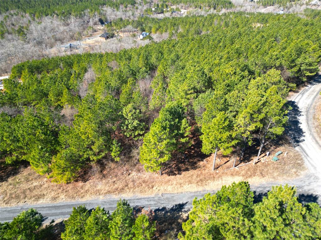 484 Lukfata Fork Trail Property Photo 5