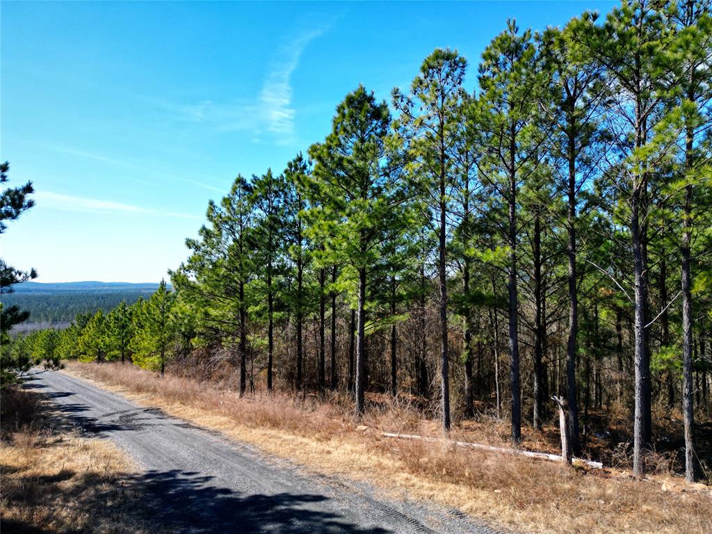 484 Lukfata Fork Trail Property Photo 6
