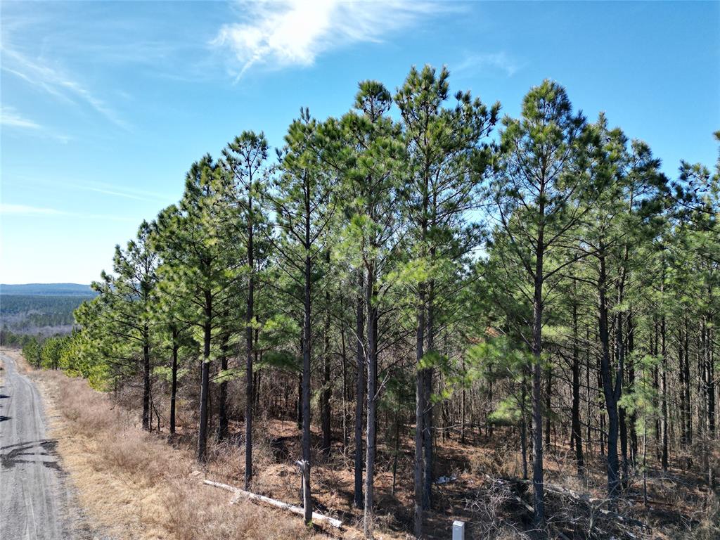 484 Lukfata Fork Trail Property Photo 7